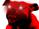 :lechienlelite: