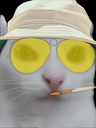 :Chas_vegas_parano: