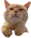 :Rouxsticker: