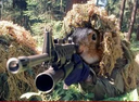 :peanut_militaire: