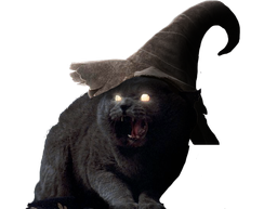 :Chat_Fou: