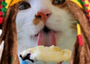 :Krist_glace: