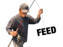 :pecheurfeed:
