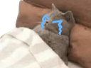 :Chadorcry:
