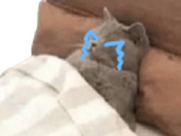 :Chadorcry: