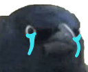 :PUT_DE_GARY: