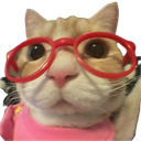 :Chat_lunettes_rouge: