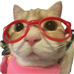 :Chat_lunettes_rouge: