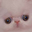 Photo de profil de Findus