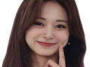 :tzuyu: