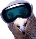 :pigeonVR: