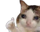 :chat44: