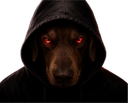 :DarkChien: