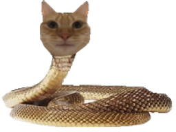 :chat_serpent: