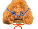:chien_badge: