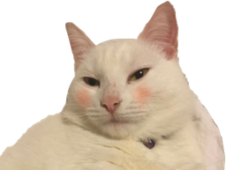 :teuch: