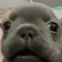 :Oh_PTD:
