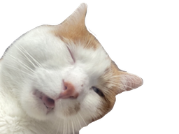 :Quinquin2: