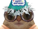 :Annivrancky:
