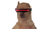 :Cyclope: