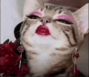 :La_chatte: