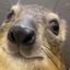 Photo de profil de MeeMs