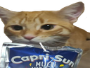 :chat_capri_sun: