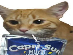 :chat_capri_sun: