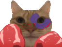 :dfsqdq: