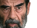 :Saddam_Hussein_: