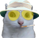:Chat_zieute_parano: