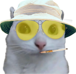 :Chat_zieute_parano: