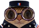 :Chat_lunettes_Mon_Issou: