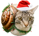 :Escargochat_noel:
