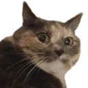 :ChatChoc: