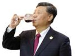 :xi_jiping_avale: