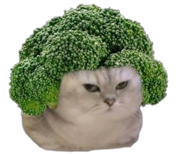 :BrocoliNRV: