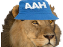 :Lionaah: