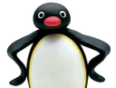 :pingu: