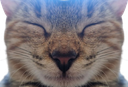 :praline_miroir2: