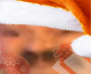 :2LoinOrange: