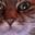 Photo de profil de LeTonton