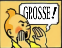 :Tintin_grosse: