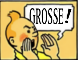 :Tintin_grosse: