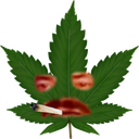 :Risibeux: