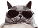 :Chatoklm: