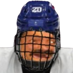 :hockey5: