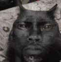 :Chat_nwar: