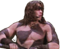 :conan_question_vdd:
