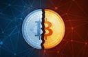 :Bitcoin_halving_btc: